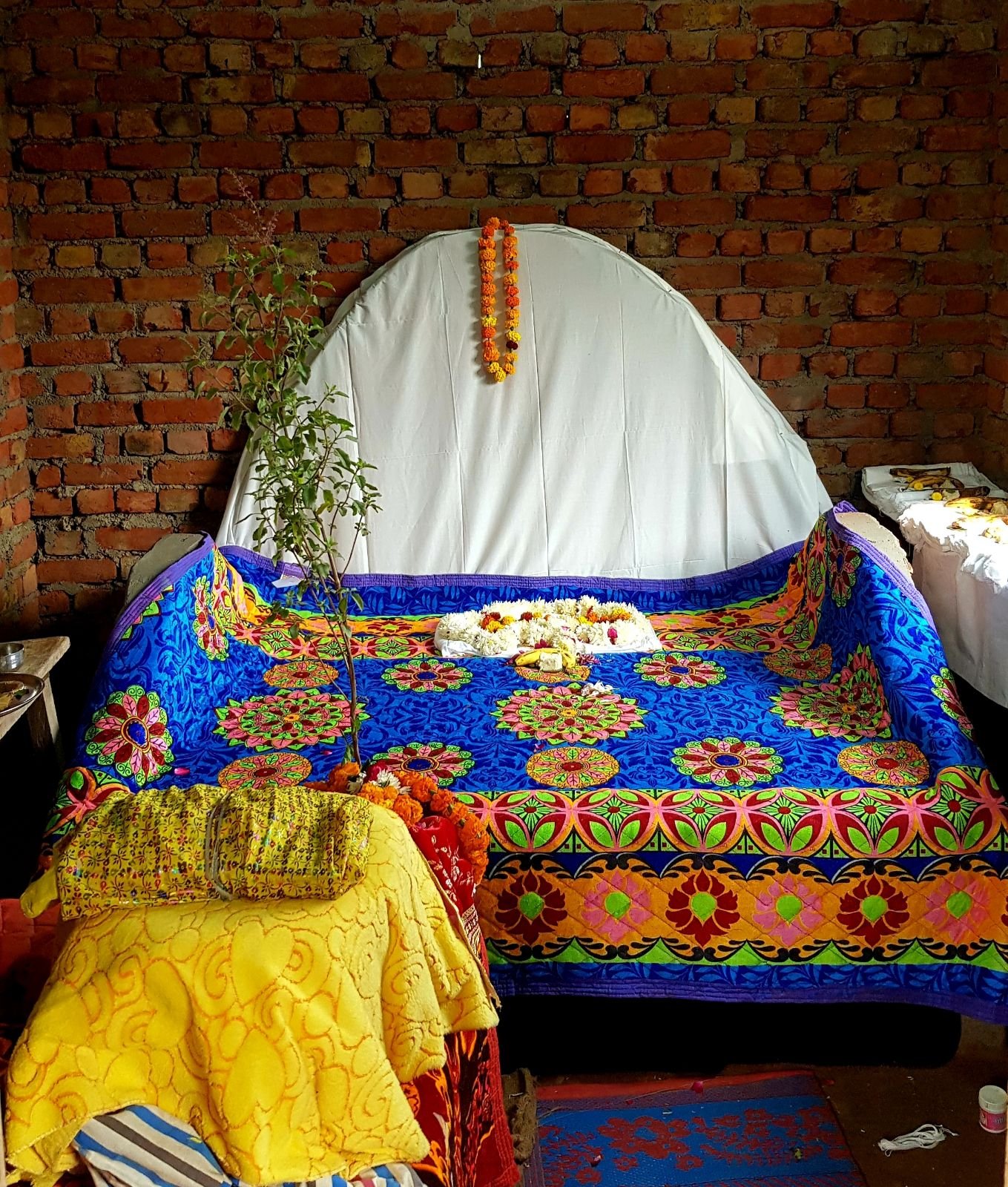  Varshana parikrama and preaching. 2019.12.10